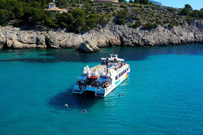 Dolphin Watching in Mallorca (Paguera) - Where You Meet in Peguera: Bar Torà (and Why Timing Matters)