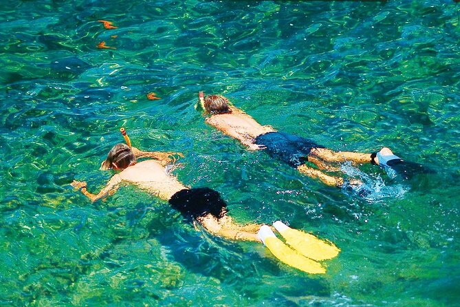 Dolphin Watching in Mallorca (Paguera) - Camp de Mar Swim Stop: Short, Sweet, and Weather-Dependent