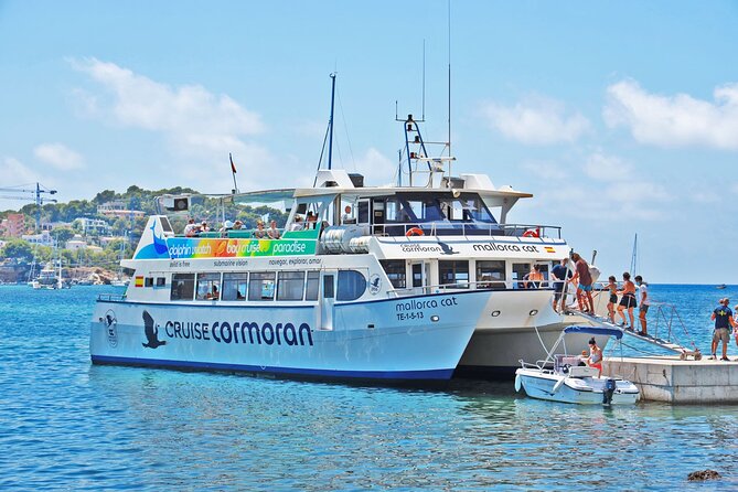 Dolphin Watching in Mallorca (Paguera) - Leaving Peguera Offshore: Searching for Dolphins Like a Local