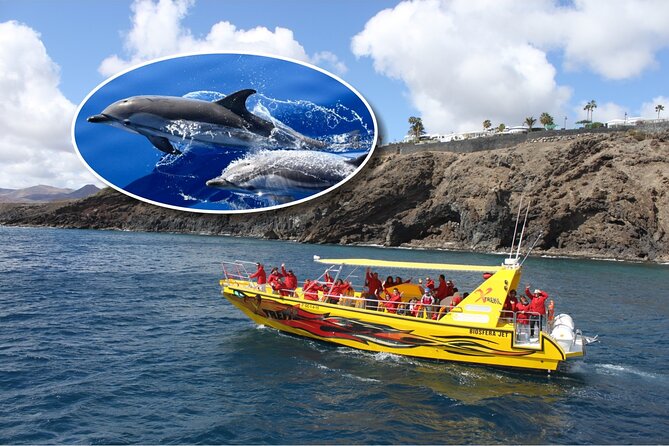 Dolphin Watching Mini Cruise and Snorkeling from Lanzarote - Key points before you go