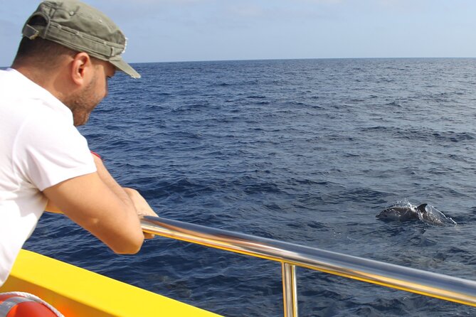 Dolphin Watching Mini Cruise and Snorkeling from Lanzarote - Snorkeling window: make the most of short water time