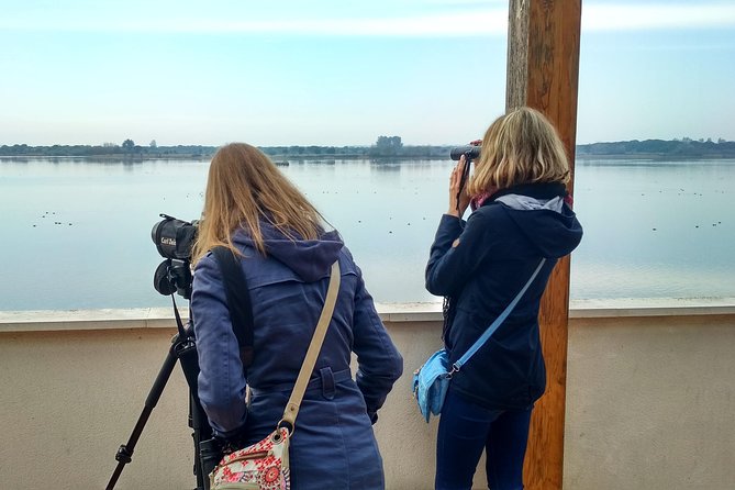 Donana National Park and El Rocío: Guided Tour from Seville - The Doñana plan: more than a single “pretty park stop”