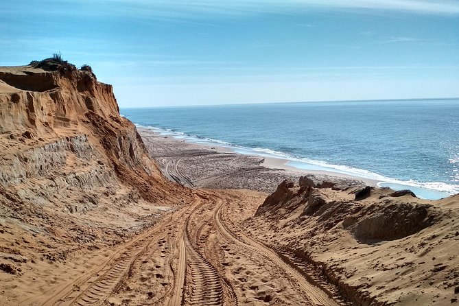 Donana National Park and El Rocío: Guided Tour from Seville - Morning start from Seville: pickup points and a luggage stop