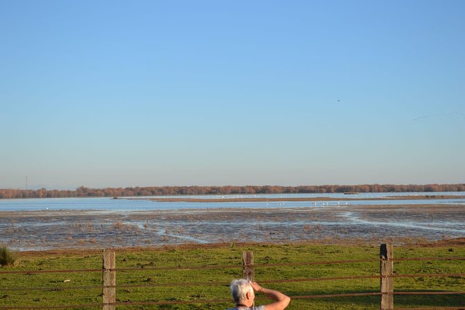 Donana National Park and El Rocío: Guided Tour from Seville - Puebla del Río and the rice-field edge: where birds have water year-round