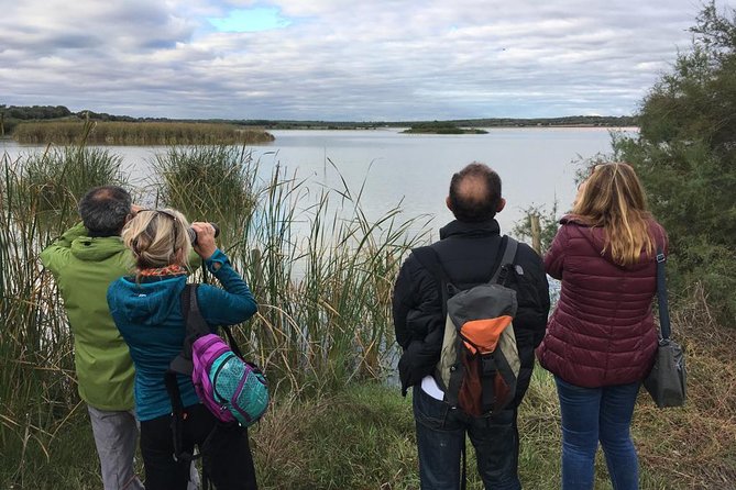 Donana National Park and El Rocío: Guided Tour from Seville - Dehesa de Abajo: ancient trees, storks, and a real-feeling pause