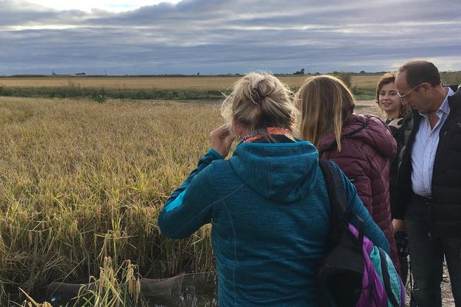 Donana National Park and El Rocío: Guided Tour from Seville - El Rocío: horses, chapel atmosphere, and an ornithologists’ observatory