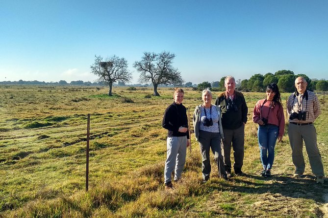 Donana National Park: Guided Day Tour from Seville - Back near El Rocío and into the Doñana National Park block (3 hours)