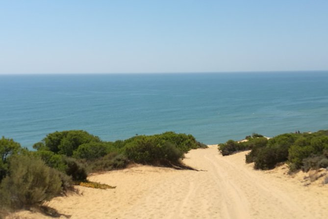 Donana National Park: Guided Day Tour from Seville - Guides make or break it: Jose, Miguel, Ramon, Sergio, Diego, and Drees