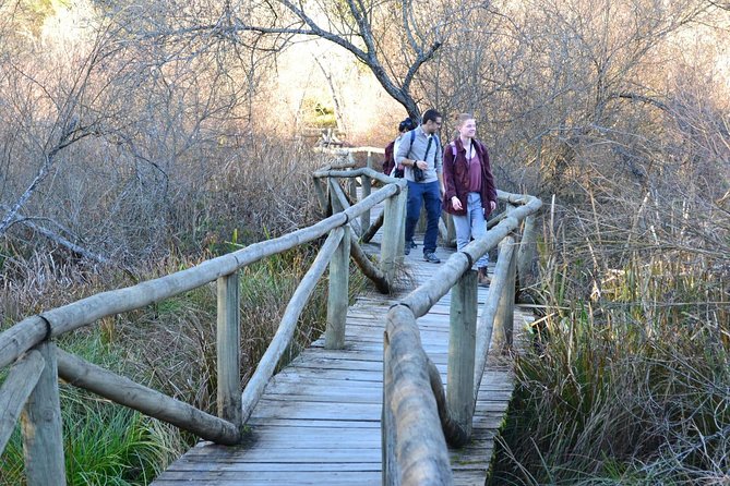 Donana National Park: Guided Day Tour from Seville - Comfort, sound, and what to bring for a long outdoor day