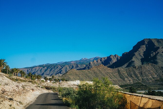 Double Tuk Tuk Tour in Costa Adeje - La Caleta: a traditional fisher village and natural swimming pools