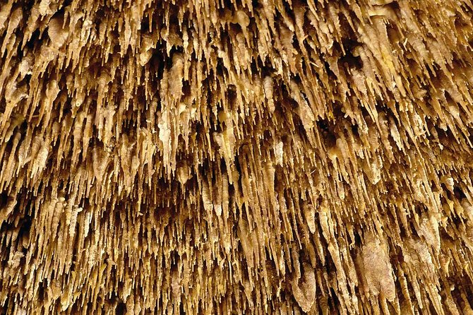 Drach Caves and Pearl Shop Mallorca Half Day Tour - Porto Cristo Stop: A Quick Cultural Palette Cleanser