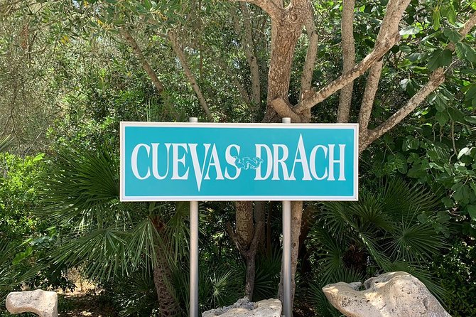 Drach Caves and Pearl Shop Mallorca Half Day Tour - Palma Pick-Up and Coach Ride: Comfort vs. Real-World Timing