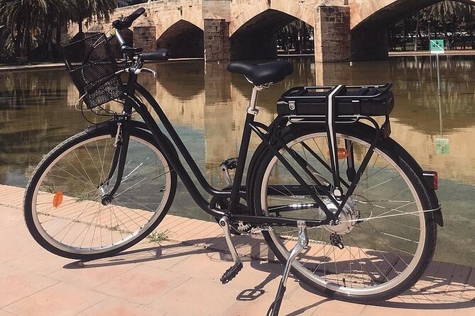 E-Bike Grand Valencia Private Tour - Stop 2: Jardín del Turia, the park that holds a city together