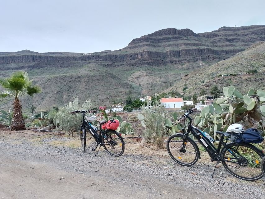 E-Bike Mountain Tour in Natural Park +Option Tapas in a Cave - Ayagaures Valley: palms, cacti, and native Canarian plants