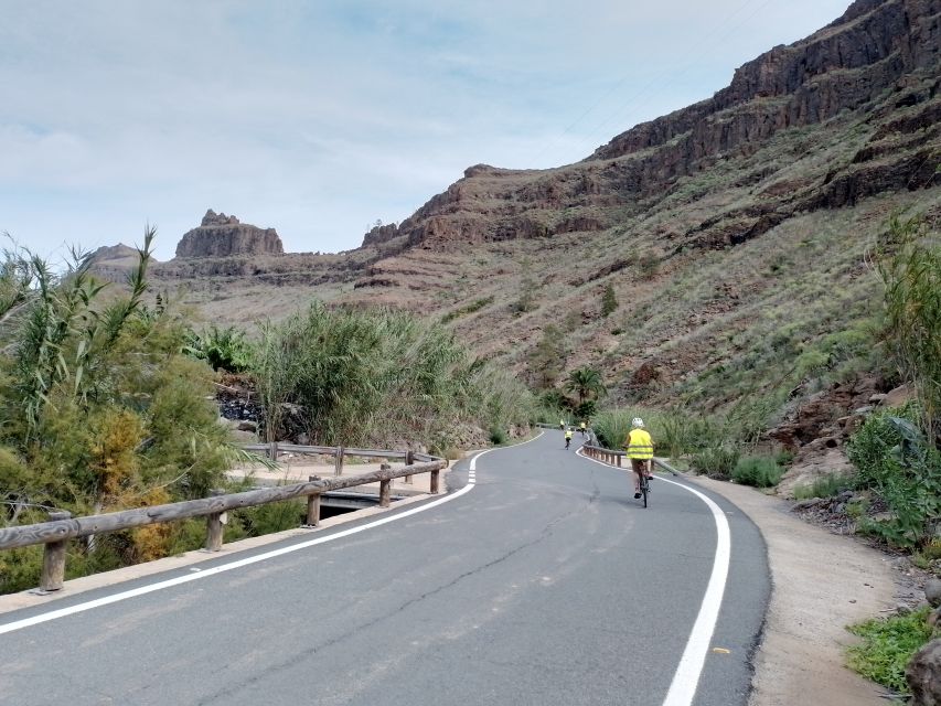 E-Bike Mountain Tour in Natural Park +Option Tapas in a Cave - Parque del Sur plant stop: learning local species without the museum mood