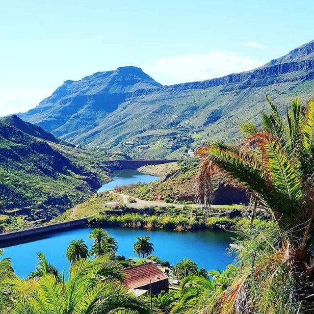E-Bike Mountain Tour in Natural Park +Option Tapas in a Cave - Price and practical value: what you get for $93