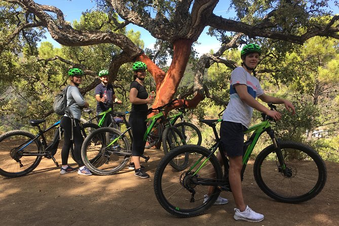 E-Mountain Bike Explorer Tour departing from Marbella - Time, group size, and who should feel comfortable