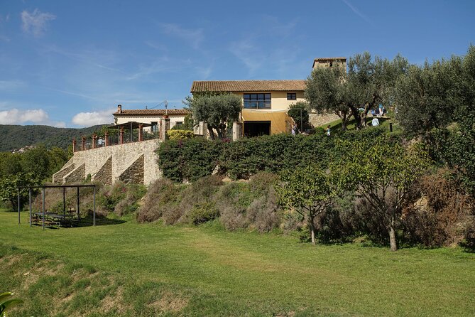 Ebike Tour, Winery, Wine Tasting & Sailing Experience(car option) - Car option: when it makes sense