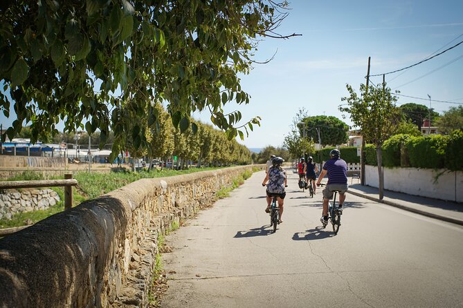 Ebike Tour, Winery, Wine Tasting & Sailing Experience(car option) - Who this tour is perfect for (and who should think twice)