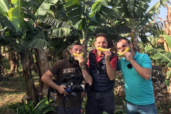 Eco banana farm Tour - Banana Farming Facts You’ll Remember After You Leave