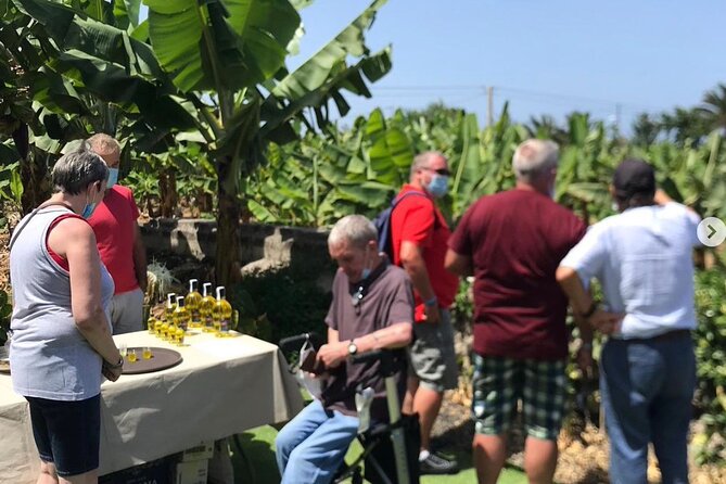 Eco banana farm Tour - Who Should Book This Eco Banana Farm Tour