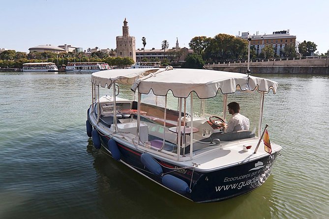 Eco-Cruise by Guadalquivir River - Getting to the dock smoothly: meeting point and seat strategy