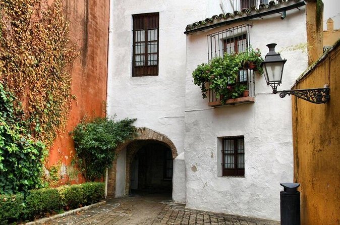 Enchanted Seville Walking Tour - Stop-by-Stop: Plaza del Triunfo to Calle Laraña