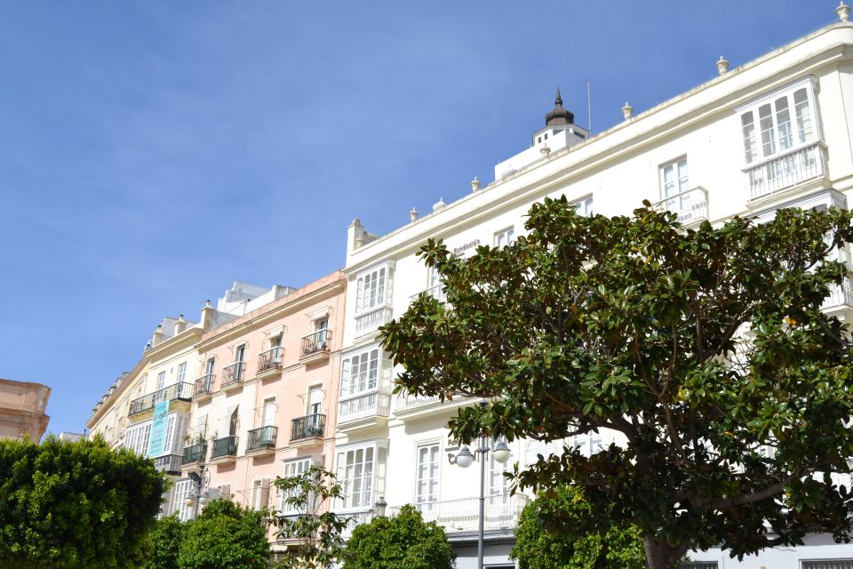 English Cádiz Tour: Walking Tour with Local Guide - Price and Value: Why $15 Often Feels Like a Bargain