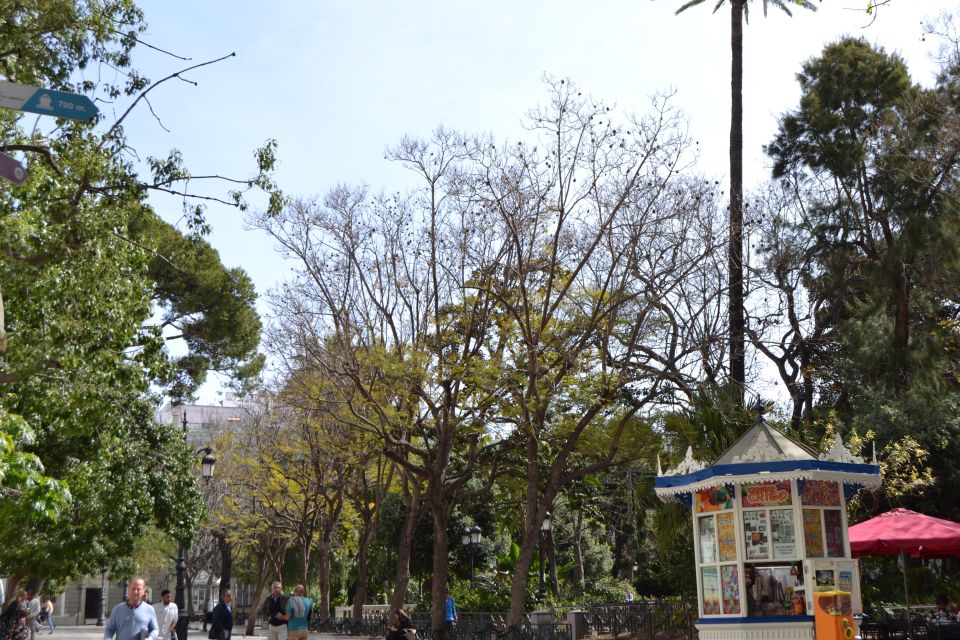 English Cádiz Tour: Walking Tour with Local Guide - Real Local Flavor: Food Culture Tips and Market Confidence