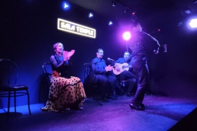Entrance to the Flamenco Temple Room in Madrid with Tapas Option - The flamenco show itself: improvisation, music, and why it feels alive