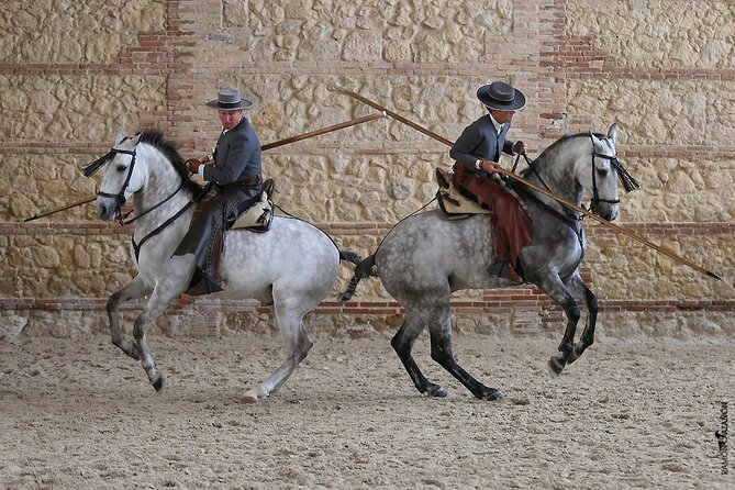 Equestrian Show Royal Stables of Córdoba - Should You Book This Show?