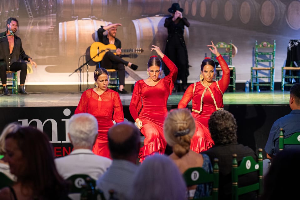 Estepona: Andalusian Flamenco Show Entry Ticket with Drink - Quick hits before you go