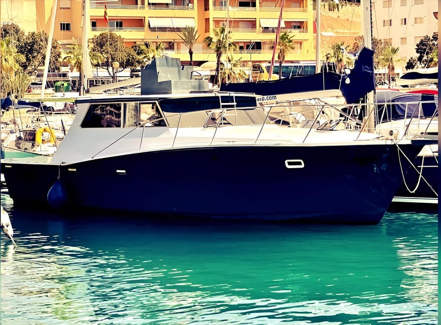 Estepona: Dolphin Searching Sunset Cruise with Drink & Snack - Who This Cruise Suits Best (and Who Might Prefer Something Else)