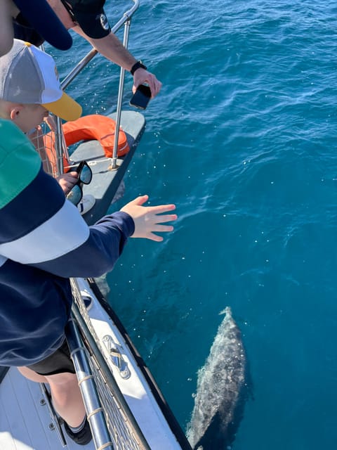 Estepona: Dolphins Searching Sea Cruise with Drink & Snacks - Deck Comfort Details You’ll Actually Care About