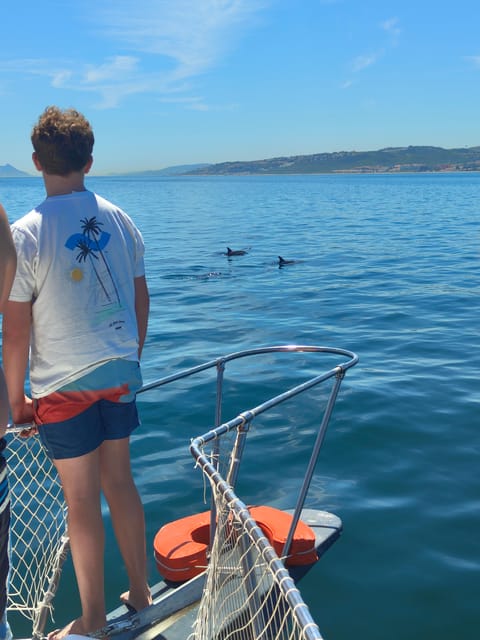 Estepona: Dolphins Searching Sea Cruise with Drink & Snacks - Price and Value: Why $41 Often Works Well Here