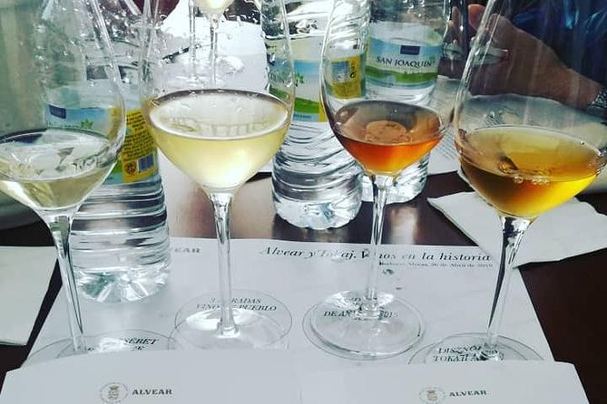 Evening Wine Tasting Córdoba - Where The Evening Wine Tasting Starts in Córdoba