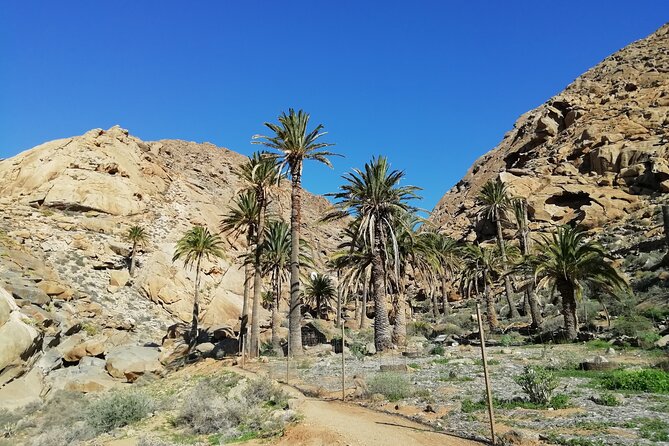 Excursion to Ajuy Caves with a secret Las Penitas canyon Hike - Morning Setup: 8:00 AM Start and a Small-Group Feel