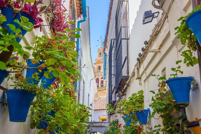 Excursion to Córdoba from Malaga - What You’re Really Signing Up For