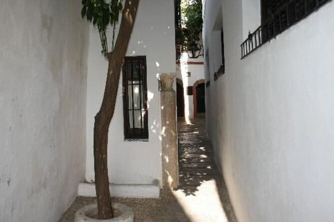 Excursion to Córdoba from Malaga - Group Size and Vibe: Small Enough to Feel Human