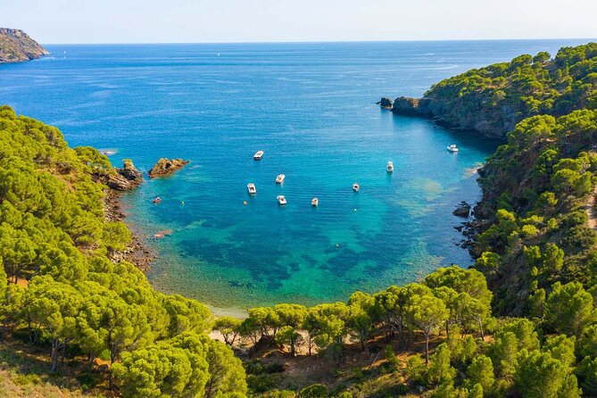 Explore Cap Norfeu and the Secret Cave: An Underwater World - Cala Jóncols: rounding out the coastline loop