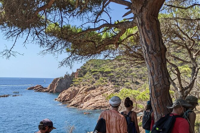 Explore Costa Brava & Tossa de Mar Coastal Trails, Snorkel & Meal - Tossa de Mar Castle Stop: First Impressions for the Right Mood