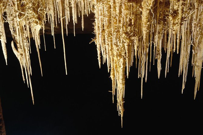 Explore Mallorca: Majorica Pearl Shop and Caves of Drach - Time management: the pacing can feel short, especially at the cave exit
