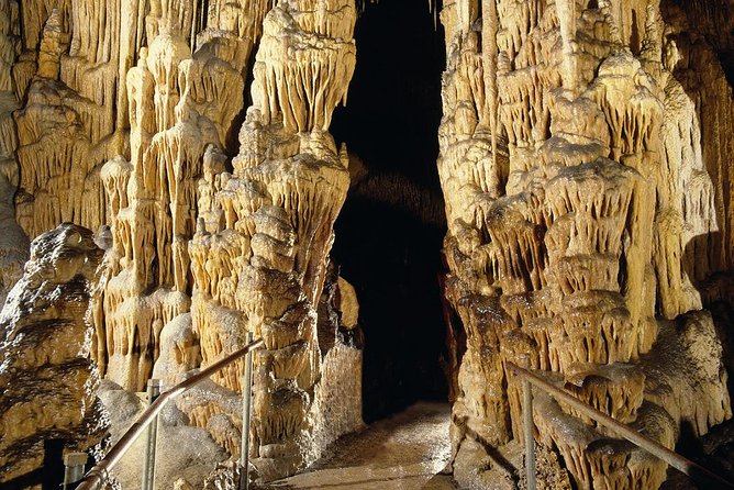 Explore Mallorca: Majorica Pearl Shop and Caves of Drach - Who this tour suits best on Mallorca