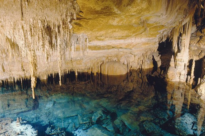 Explore Mallorca: Majorica Pearl Shop and Caves of Drach - Value for money: where the $67.21 price really goes
