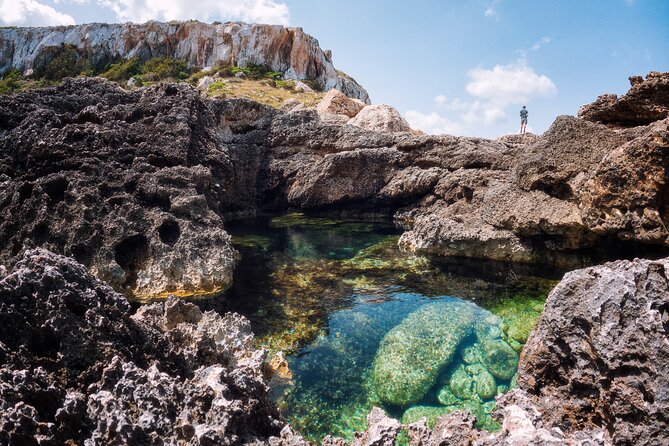 Explore Secret Ibiza: Guided Hiking Tours with Local Experts - Price and value: is $184.78 worth it?