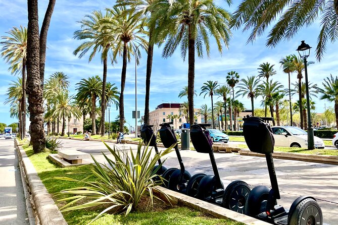 Express 1 hour Segway Tour - The 7 Stops: From Cathedral de Mallorca to Parc de la Mar