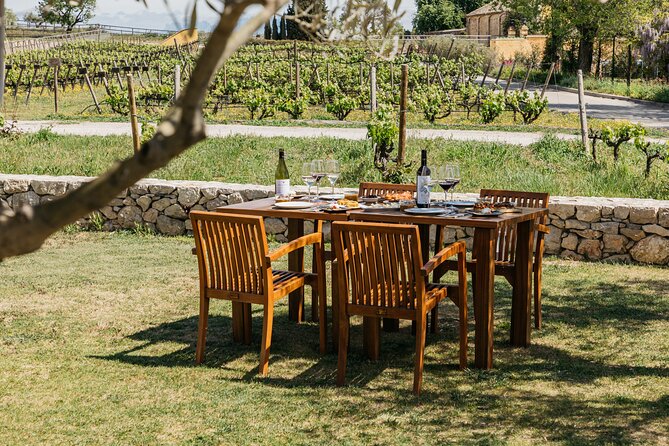 Familia Torres Winery: Gastronomic Tapas & Wine Experience - The brunch of Catalonia: estate bread, tapas, and mató with honey