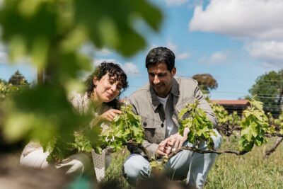 Familia Torres Winery: Gastronomic Tapas & Wine Experience - Inside Familia Torres: the Waltraud winery and the sustainability story