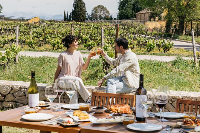 Familia Torres Winery: Gastronomic Tapas & Wine Experience - Four guided wines: vermouth, sparkling, white, and red