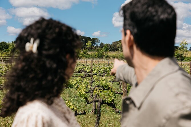Familia Torres Winery: Gastronomic Tapas & Wine Experience - Timing, pacing, and what group tours feel like